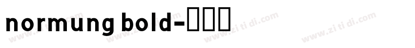 normung bold字体转换